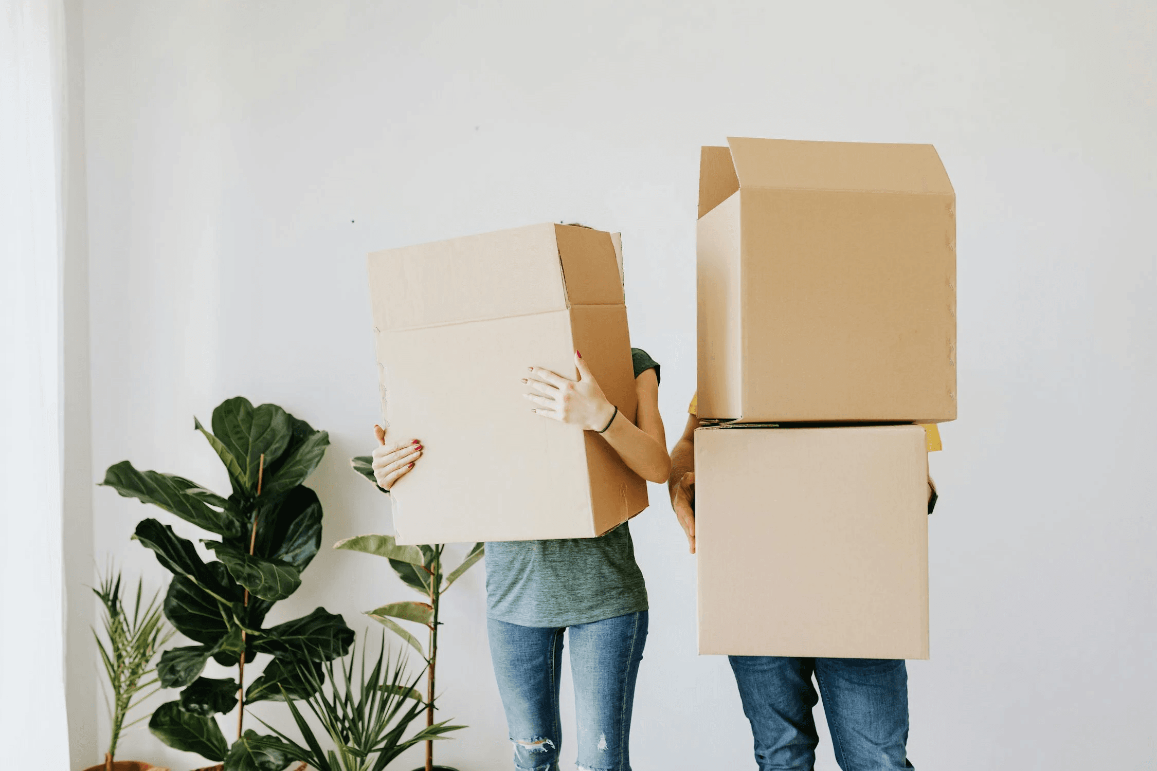 Volunteers holding boxes